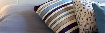 Dreaming